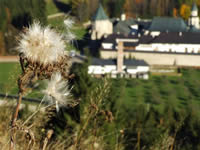 PERSPECTIVA MANASTIREA PUTNA